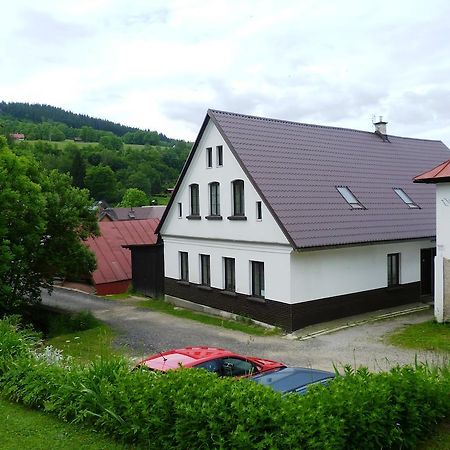 Penzion Pod Studenovem Рокитніце-над-Їзероу Екстер'єр фото