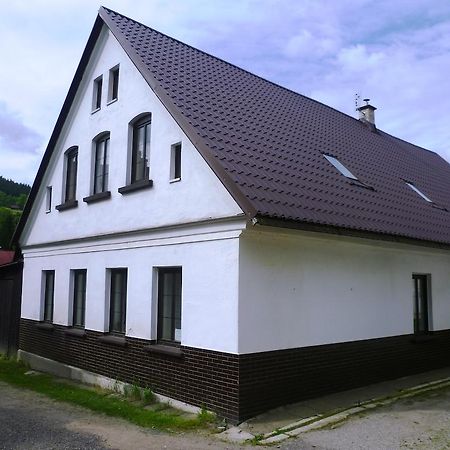 Penzion Pod Studenovem Рокитніце-над-Їзероу Екстер'єр фото